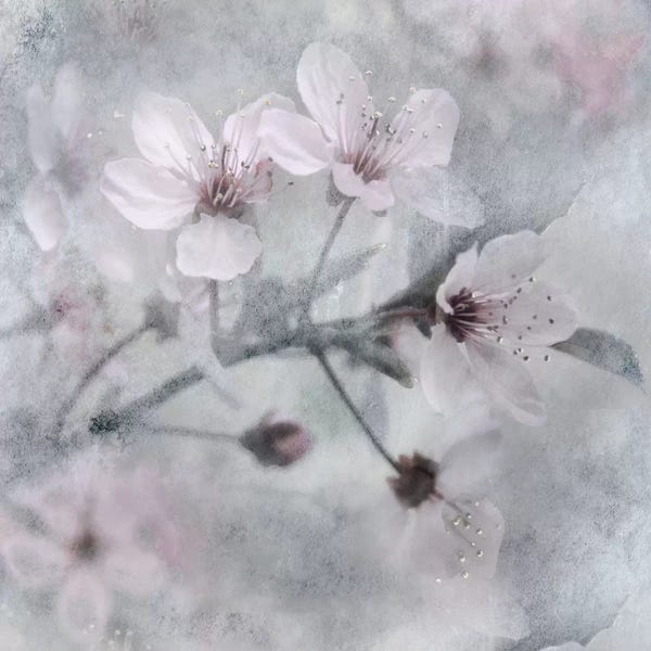 Irene Weisz: Spring Melody I by Irene Weisz