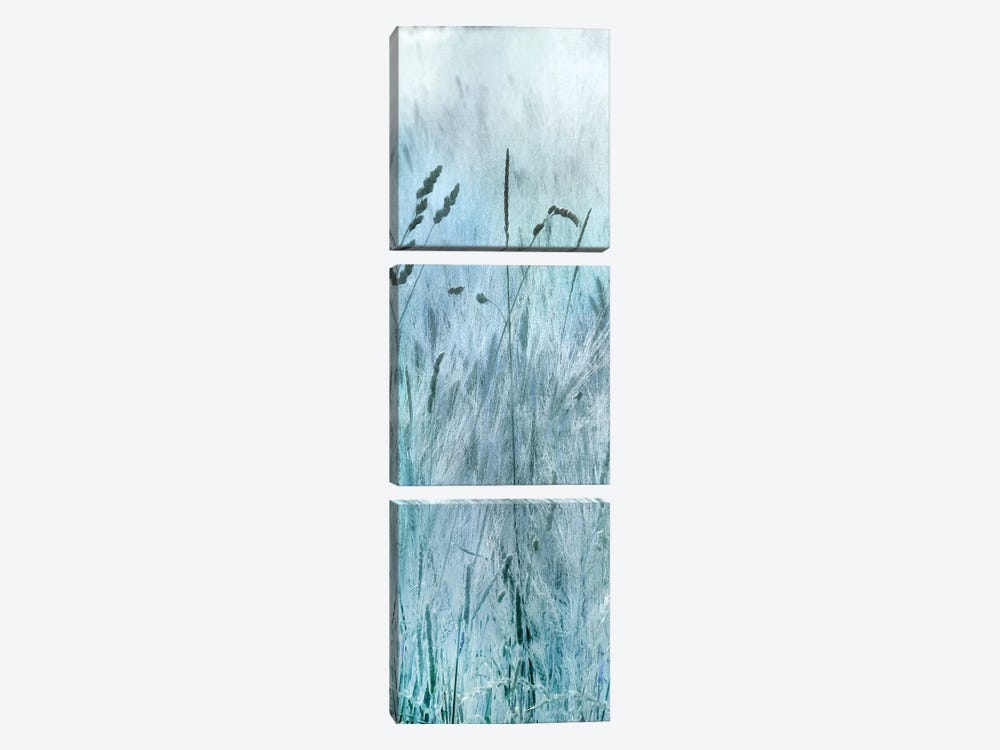 Blue Field Forever I by Irene Weisz 3-piece Canvas Art Print