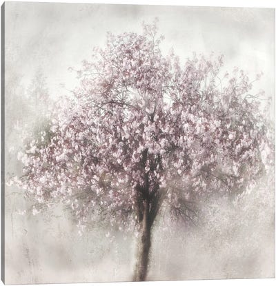 Blossom Of Spring II Canvas Art Print
