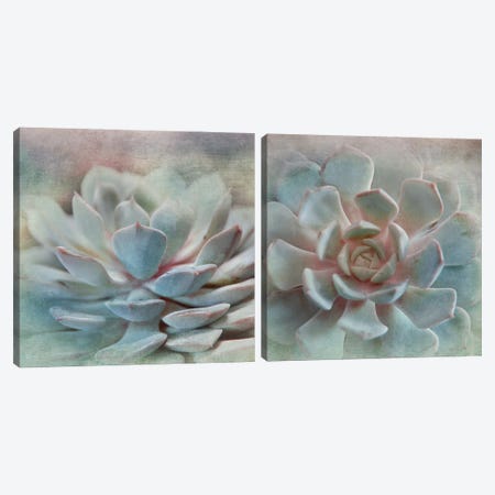 Pastel Succulent Diptych Canvas Print Set #IWE2HSET001} by Irene Weisz Canvas Artwork