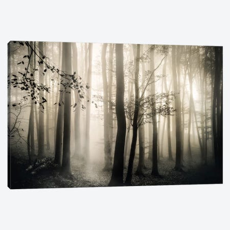 Light is Always There Canvas Print #IWE40} by Irene Weisz Art Print