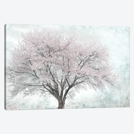 A Feel of Spring I Canvas Print #IWE50} by Irene Weisz Canvas Wall Art