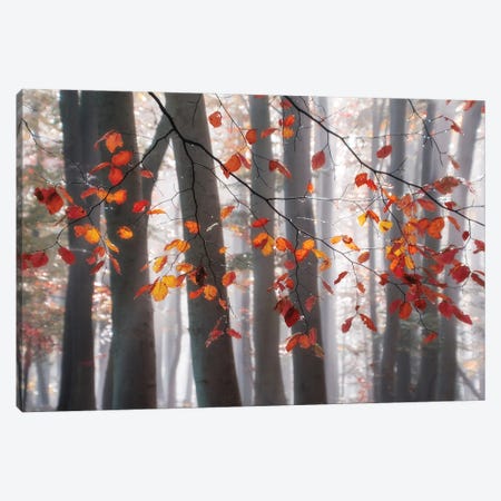 Falling Moments Canvas Print #IWE52} by Irene Weisz Canvas Wall Art