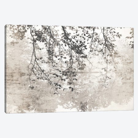 Taupe Soft Reflection Canvas Print #IWE66} by Irene Weisz Canvas Artwork