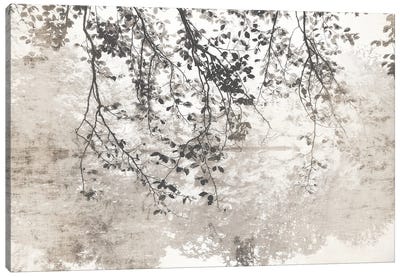 Taupe Soft Reflection Canvas Art Print - Leaf Art
