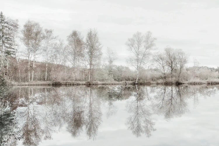 Taupe Water Mirror