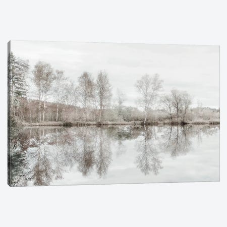 Taupe Water Mirror Canvas Print #IWE67} by Irene Weisz Canvas Art