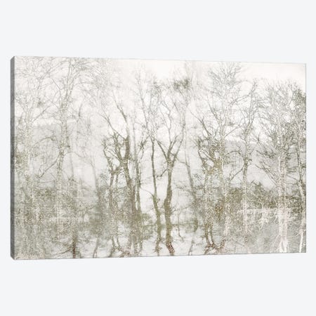 Shimmering Trees Canvas Print #IWE69} by Irene Weisz Art Print