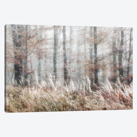 Always Magic In The Woods Canvas Print #IWE70} by Irene Weisz Canvas Artwork