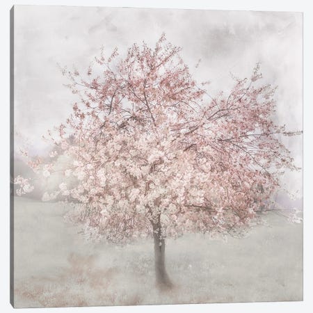 Charming Pinks I Canvas Print #IWE71} by Irene Weisz Canvas Wall Art