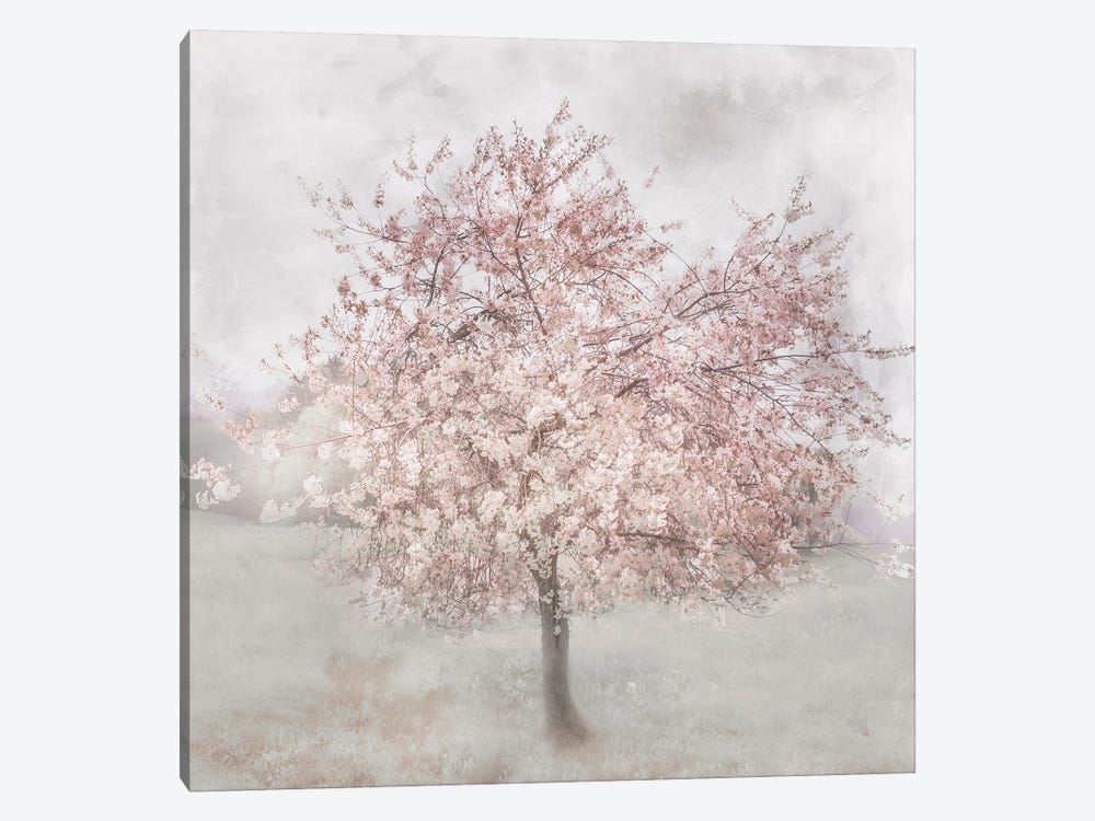 Charming Pinks I by Irene Weisz 1-piece Canvas Print