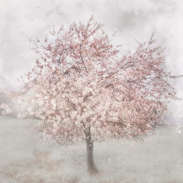 Irene Weisz: Charming Pinks I by Irene Weisz