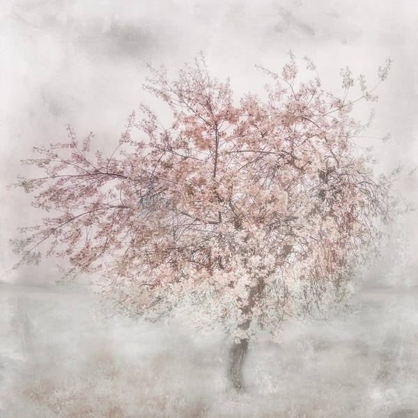 Irene Weisz: Charming Pinks II by Irene Weisz