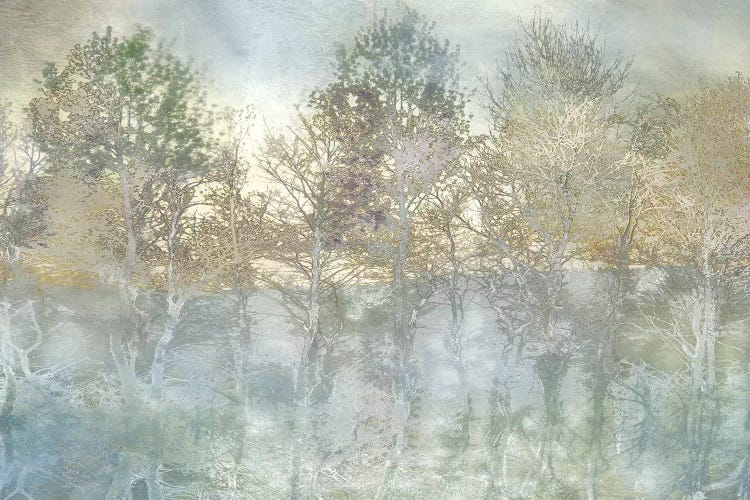 River Reflection by Irene Weisz canvas print