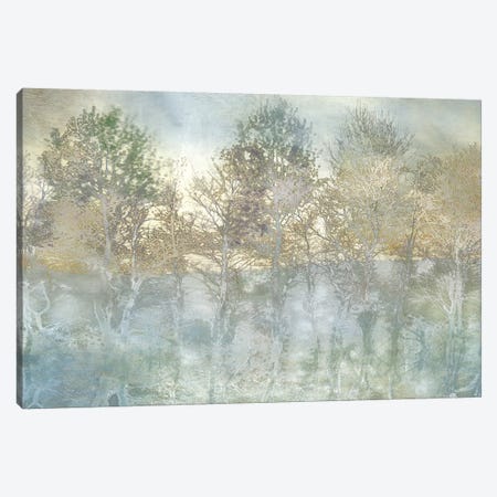 River Reflection Canvas Print #IWE9} by Irene Weisz Canvas Print