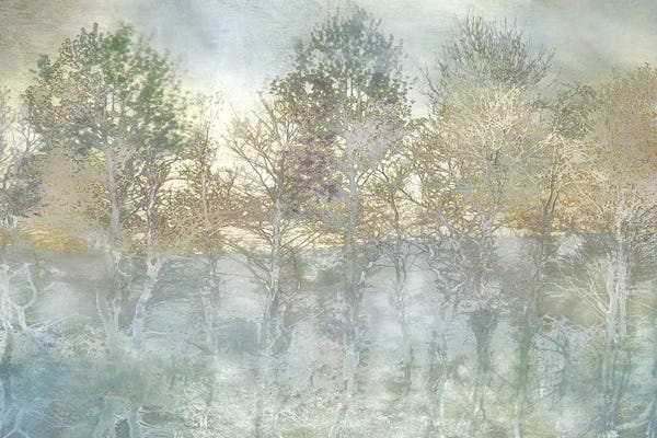 Large Floral & Botanical Art - Canvas Prints: River Reflection by Irene Weisz