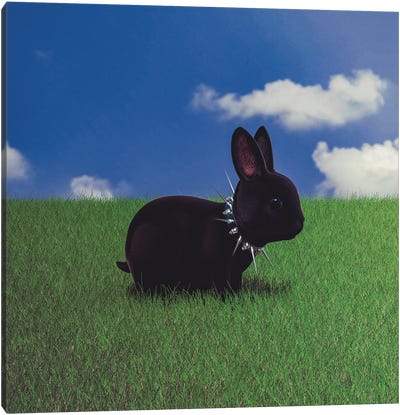 II Canvas Art Print - Rabbit Art