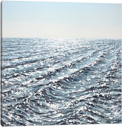 Silver Of The Ocean III Canvas Art Print - Iryna Kastsova