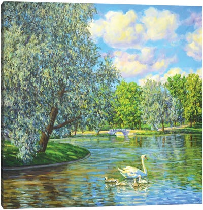 In The Summer Park Canvas Art Print - Swan Art