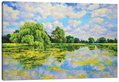 Summer Canvas Art Print - Willow Tree Art