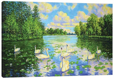 Lake Swans III Canvas Art Print - Swan Art