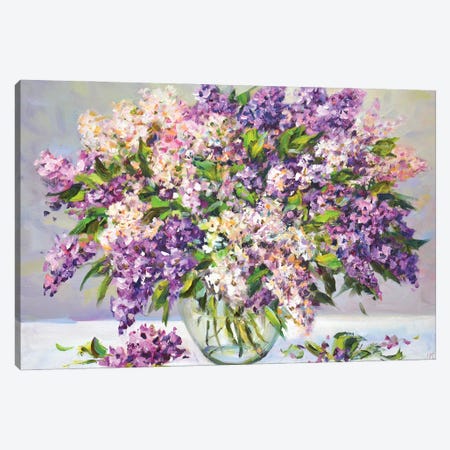 Lilac V Canvas Print #IYK636} by Iryna Kastsova Canvas Print