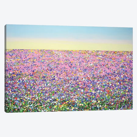 Summer Flower Field VII Canvas Print #IYK694} by Iryna Kastsova Canvas Print