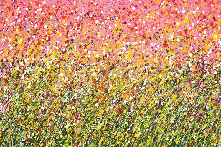 Flower Field Summer