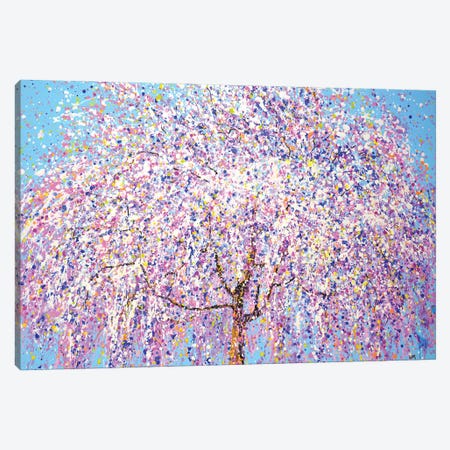 Blooming Sakura V Canvas Print #IYK739} by Iryna Kastsova Canvas Art Print