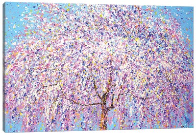 Blooming Sakura V Canvas Art Print - Cherry Tree Art