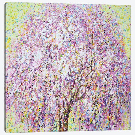 Sakura Cherry Blossoms I Canvas Print #IYK742} by Iryna Kastsova Canvas Artwork