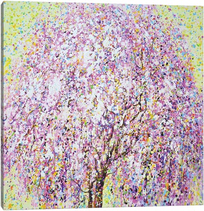 Sakura Cherry Blossoms I Canvas Art Print - Iryna Kastsova