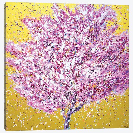 Sakura Cherry Blossoms II Canvas Print #IYK743} by Iryna Kastsova Canvas Artwork
