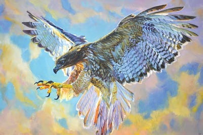 Eagle by Iryna Kastsova framed canvas print