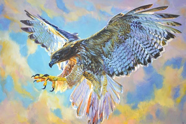 Iryna Kastsova: Eagle by Iryna Kastsova