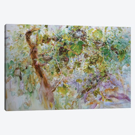 Sparrows And Grapes Canvas Print #IZH41} by Igor Zhuk Art Print