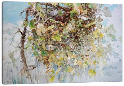 Sparrows In Grape Bush Canvas Art Print - Vineyard Art