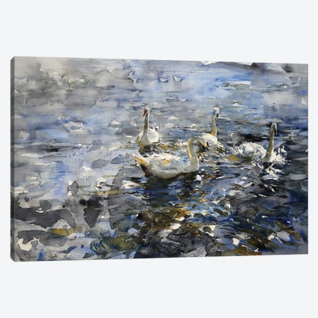 The Swan Lake Canvas Print #IZH53} by Igor Zhuk Canvas Wall Art