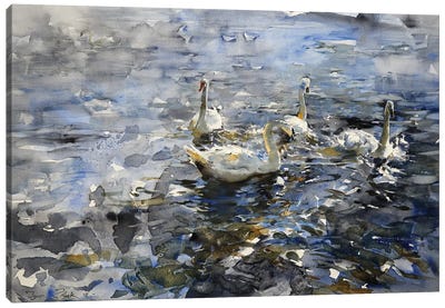 The Swan Lake Canvas Art Print - Swan Art