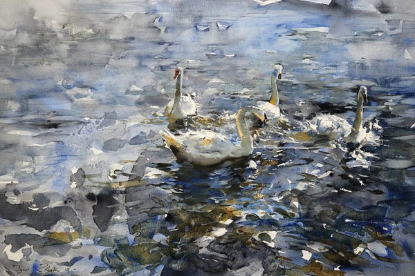 Igor Zhuk: The Swan Lake by Igor Zhuk