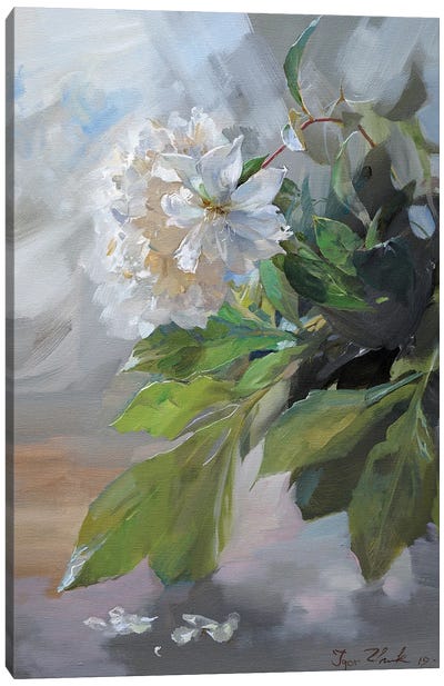 White Peonies Canvas Art Print - Igor Zhuk