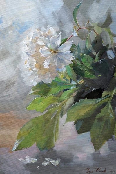Igor Zhuk: White Peonies by Igor Zhuk