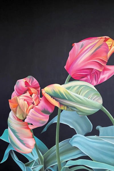 Tulips: Avignon Parrot by Ildze Ose