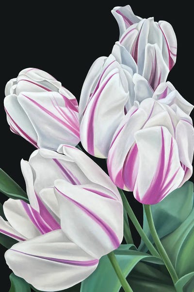 Tulips: Flaming Flag by Ildze Ose
