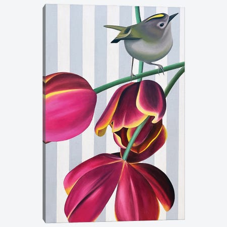 Goldcrest And Flying Dragon Canvas Print #IZO16} by Ildze Ose Canvas Wall Art
