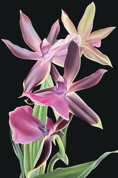 Royal Velvet by Ildze Ose canvas print