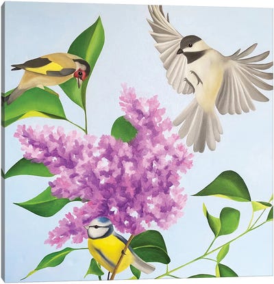 Springtime Canvas Art Print - Lilac Art