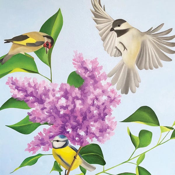Lilacs: Springtime by Ildze Ose