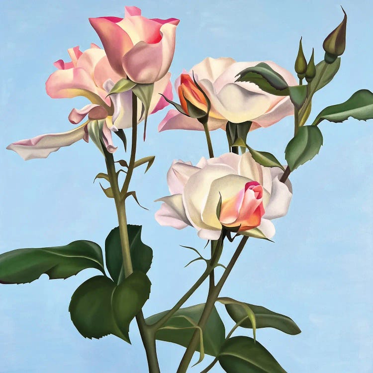 Blissfully Pink by Ildze Ose wall art