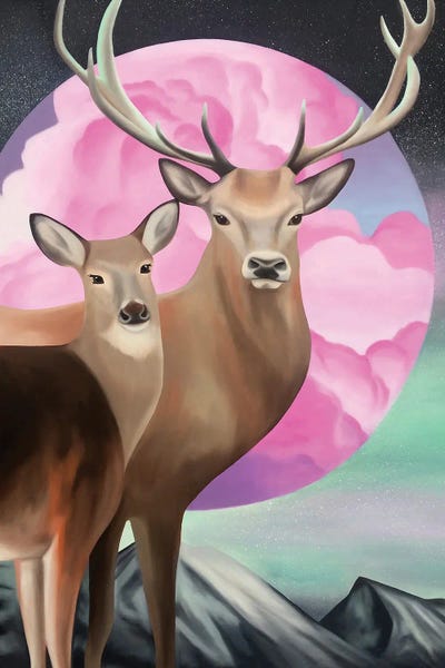 Bringing The Magic by Ildze Ose canvas print